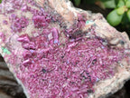 Natural Drusy Salrose on Dolomite Matrix Specimens x 3 From Kakanda, Congo - Toprock Gemstones and Minerals 