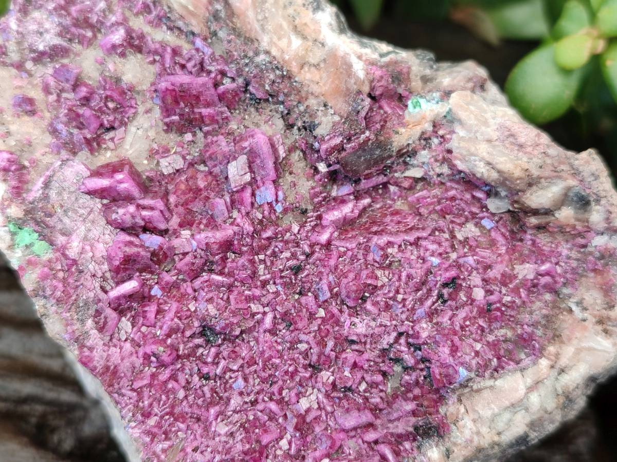 Natural Drusy Salrose on Dolomite Matrix Specimens x 3 From Kakanda, Congo - Toprock Gemstones and Minerals 