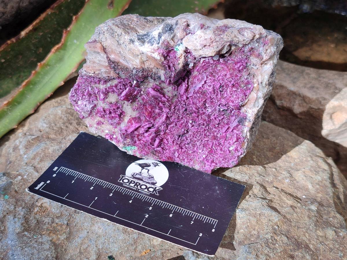 Natural Drusy Salrose on Dolomite Matrix Specimens x 3 From Kakanda, Congo - Toprock Gemstones and Minerals 