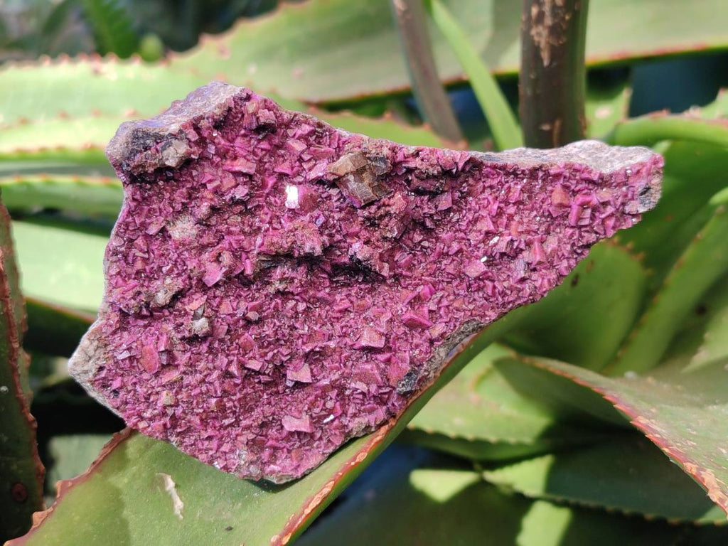 Natural Drusy Salrose on Dolomite Matrix Specimens x 3 From Kakanda, Congo - Toprock Gemstones and Minerals 