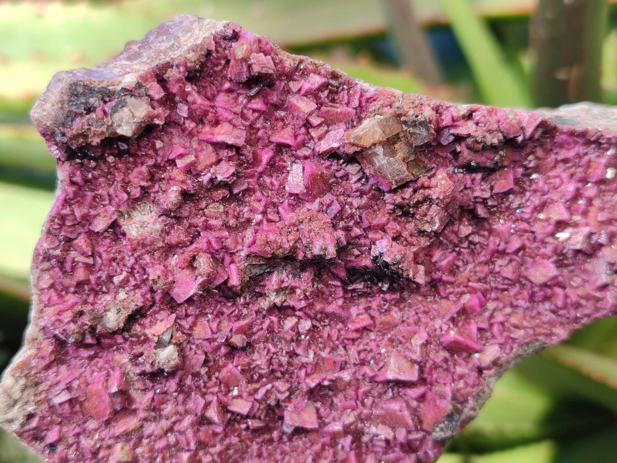 Natural Drusy Salrose on Dolomite Matrix Specimens x 3 From Kakanda, Congo - Toprock Gemstones and Minerals 