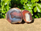 Polished On One Side Red Sashe River Agate Nodules x 20 From Zimbabwe - Toprock Gemstones and Minerals 