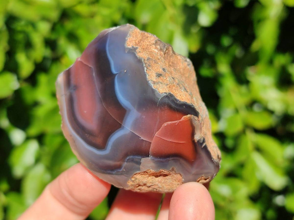 Polished On One Side Red Sashe River Agate Nodules x 20 From Zimbabwe - Toprock Gemstones and Minerals 