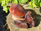 Polished On One Side Red Sashe River Agate Nodules x 20 From Zimbabwe - Toprock Gemstones and Minerals 