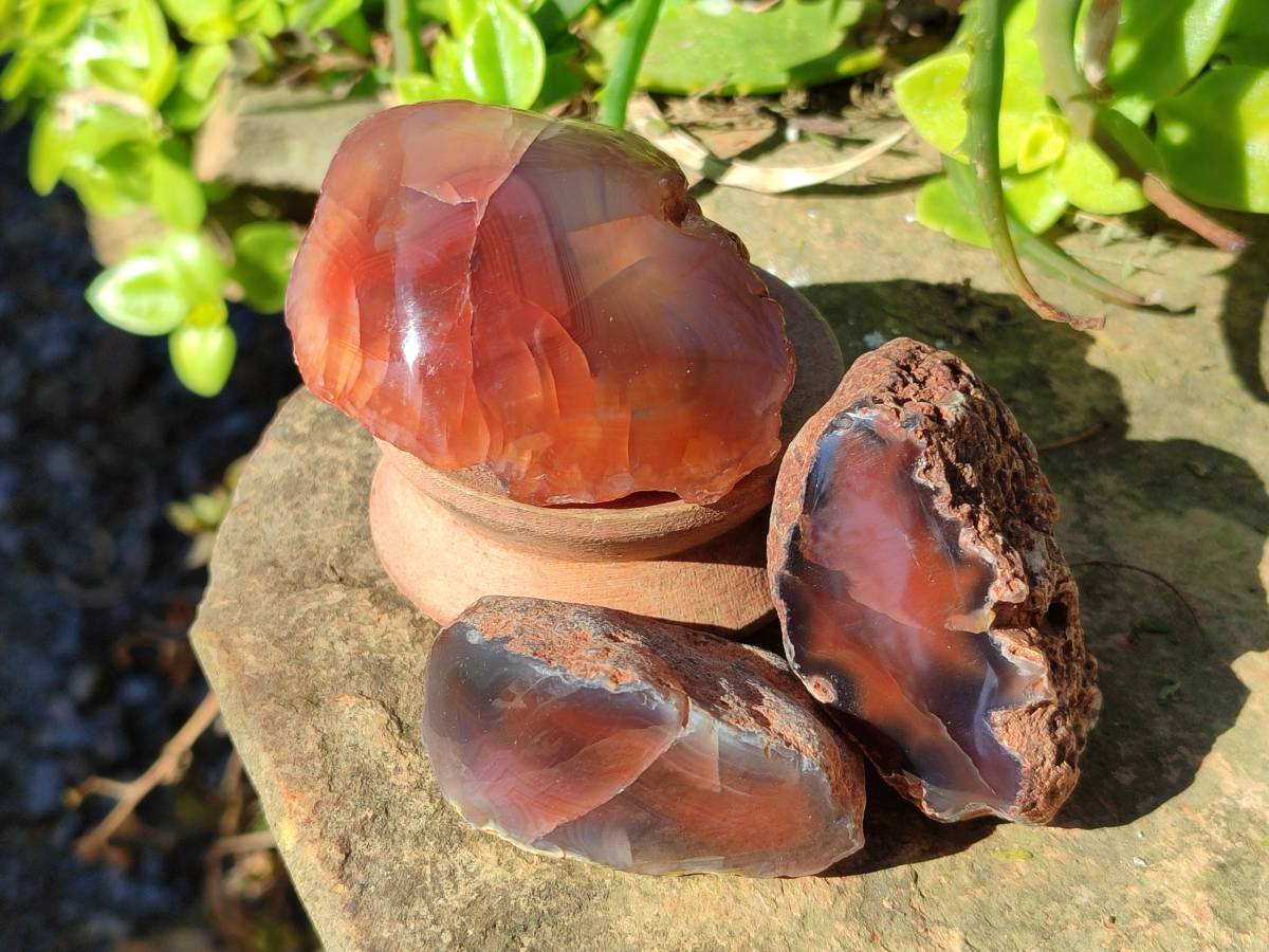 Polished On One Side Red Sashe River Agate Nodules x 20 From Zimbabwe - Toprock Gemstones and Minerals 