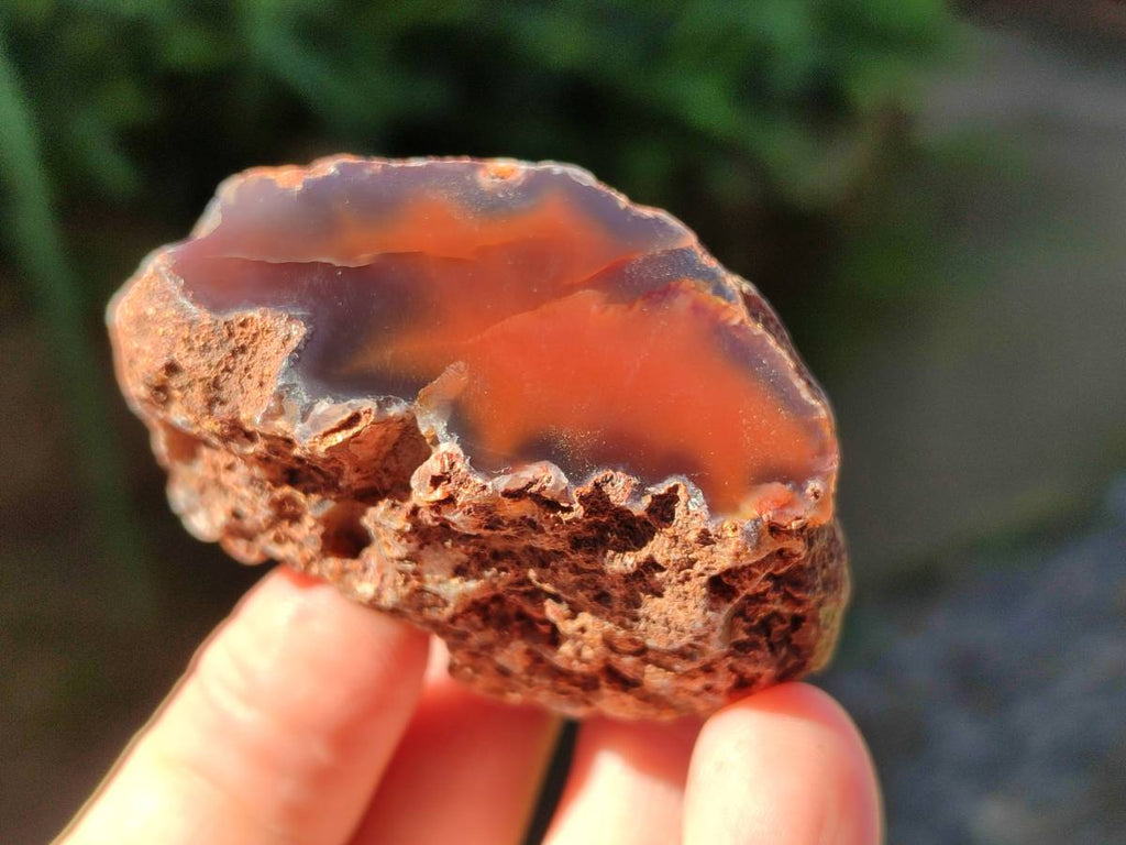 Polished On One Side Red Sashe River Agate Nodules x 20 From Zimbabwe - Toprock Gemstones and Minerals 