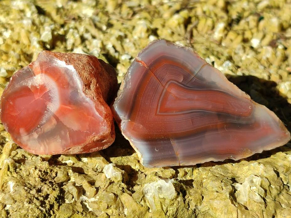 Polished On One Side Red Sashe River Agate Nodules x 20 From Zimbabwe - Toprock Gemstones and Minerals 