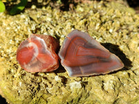 Polished On One Side Red Sashe River Agate Nodules x 20 From Zimbabwe - Toprock Gemstones and Minerals 