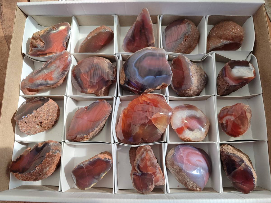 Polished On One Side Red Sashe River Agate Nodules x 20 From Zimbabwe - Toprock Gemstones and Minerals 