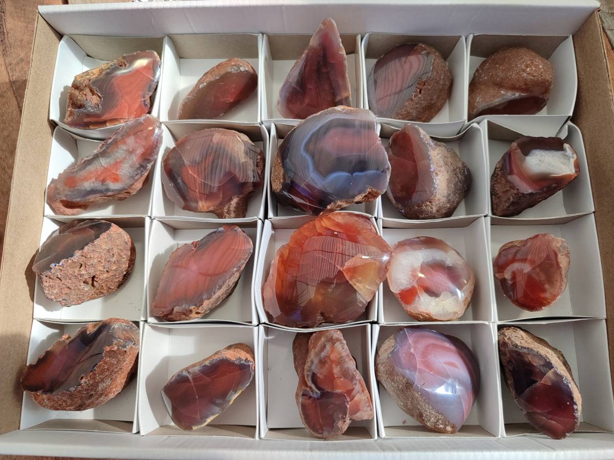 Polished On One Side Red Sashe River Agate Nodules x 20 From Zimbabwe - Toprock Gemstones and Minerals 