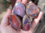 Polished On One Side Red Sashe River Agate Nodules x 20 From Zimbabwe - Toprock Gemstones and Minerals 