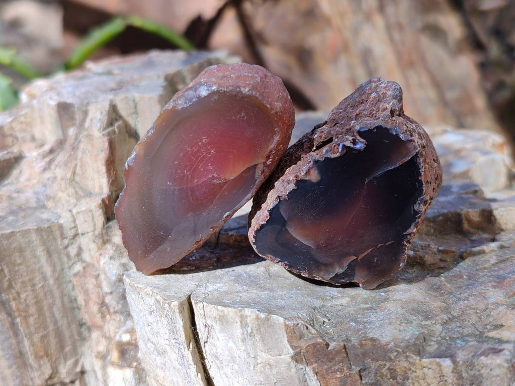 Polished On One Side Red Sashe River Agate Nodules x 20 From Zimbabwe - Toprock Gemstones and Minerals 