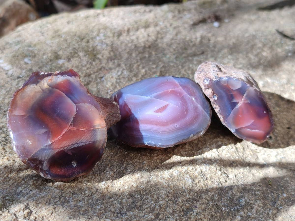 Polished On One Side Red Sashe River Agate Nodules x 20 From Zimbabwe - Toprock Gemstones and Minerals 
