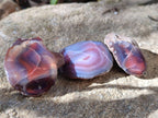 Polished On One Side Red Sashe River Agate Nodules x 20 From Zimbabwe - Toprock Gemstones and Minerals 