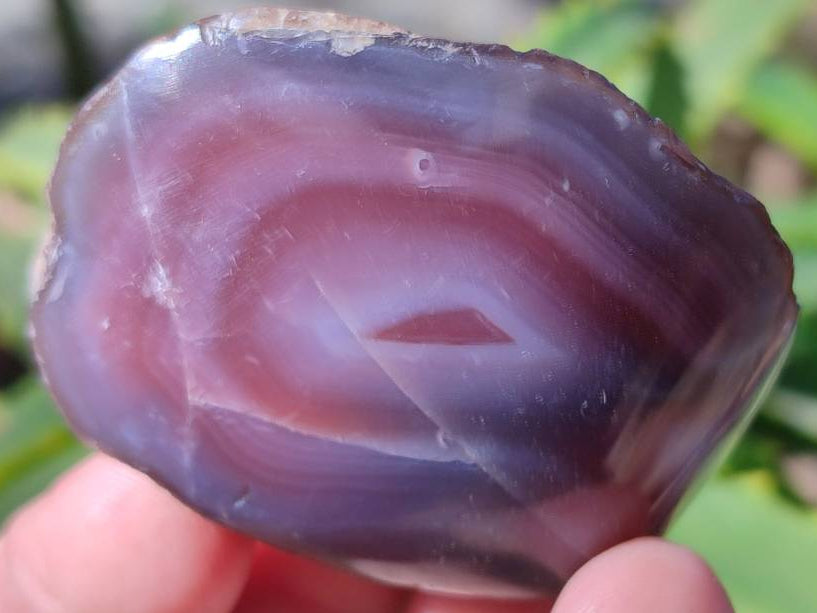 Polished On One Side Red Sashe River Agate Nodules x 20 From Zimbabwe - Toprock Gemstones and Minerals 