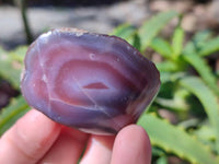 Polished On One Side Red Sashe River Agate Nodules x 20 From Zimbabwe - Toprock Gemstones and Minerals 
