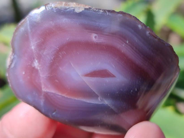Polished On One Side Red Sashe River Agate Nodules x 20 From Zimbabwe - Toprock Gemstones and Minerals 