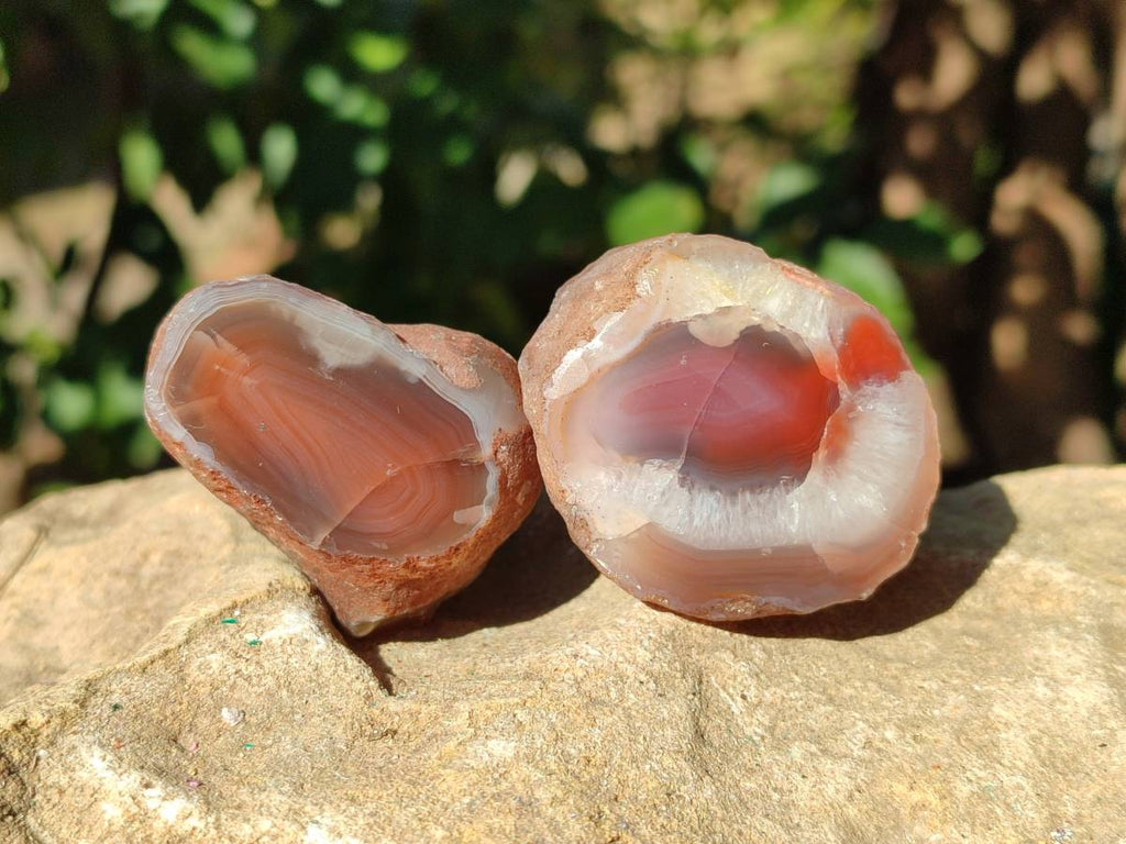 Polished On One Side Red Sashe River Agate Nodules x 20 From Zimbabwe - Toprock Gemstones and Minerals 