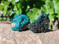 Natural Small Dioptase Crystals on Dolomite Matrix Specimens x 20 From Likasi, Congo - Toprock Gemstones and Minerals 