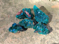 Natural Small Dioptase Crystals on Dolomite Matrix Specimens x 20 From Likasi, Congo - Toprock Gemstones and Minerals 