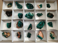 Natural Small Dioptase Crystals on Dolomite Matrix Specimens x 20 From Likasi, Congo - Toprock Gemstones and Minerals 