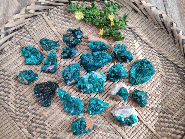 Natural Small Dioptase Crystals on Dolomite Matrix Specimens x 20 From Likasi, Congo - Toprock Gemstones and Minerals 