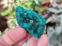 Natural Small Dioptase Crystals on Dolomite Matrix Specimens x 20 From Likasi, Congo - Toprock Gemstones and Minerals 