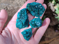 Natural Small Dioptase Crystals on Dolomite Matrix Specimens x 20 From Likasi, Congo - Toprock Gemstones and Minerals 