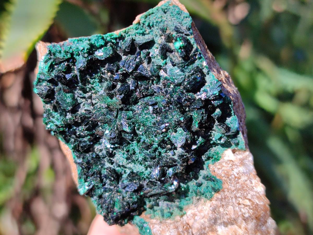Natural Super Rare Crystalline Malachite on Dolomite Matrix Specimens x 6 From Tenke Fungurume, Congo - Toprock Gemstones and Minerals 