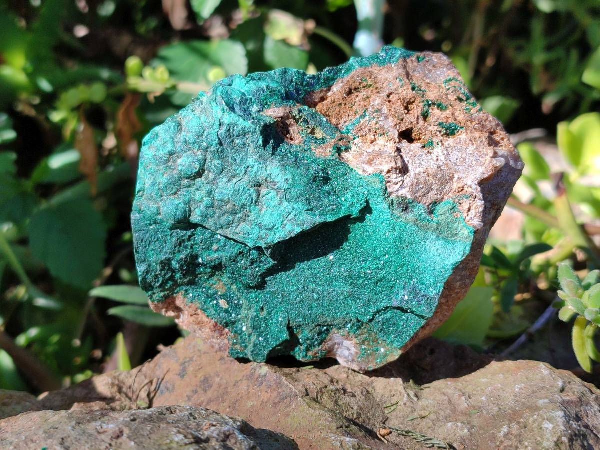 Natural Super Rare Crystalline Malachite on Dolomite Matrix Specimens x 6 From Tenke Fungurume, Congo - Toprock Gemstones and Minerals 