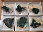 Natural Super Rare Crystalline Malachite on Dolomite Matrix Specimens x 6 From Tenke Fungurume, Congo - Toprock Gemstones and Minerals 