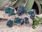 Natural Super Rare Crystalline Malachite on Dolomite Matrix Specimens x 6 From Tenke Fungurume, Congo - Toprock Gemstones and Minerals 