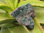 Natural Super Rare Crystalline Malachite on Dolomite Matrix Specimens x 6 From Tenke Fungurume, Congo - Toprock Gemstones and Minerals 