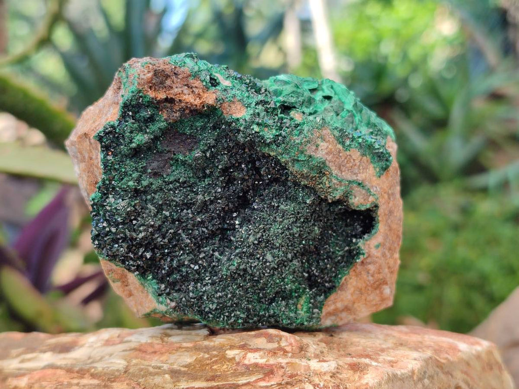 Natural Super Rare Crystalline Malachite on Dolomite Matrix Specimens x 6 From Tenke Fungurume, Congo - Toprock Gemstones and Minerals 