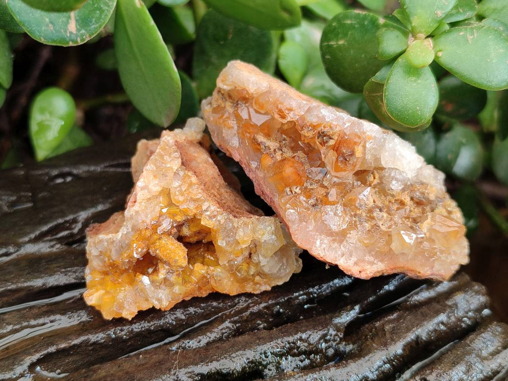 Natural Golden Limonite Quartz Clusters x 28 From Solwezi, Zambia - Toprock Gemstones and Minerals 