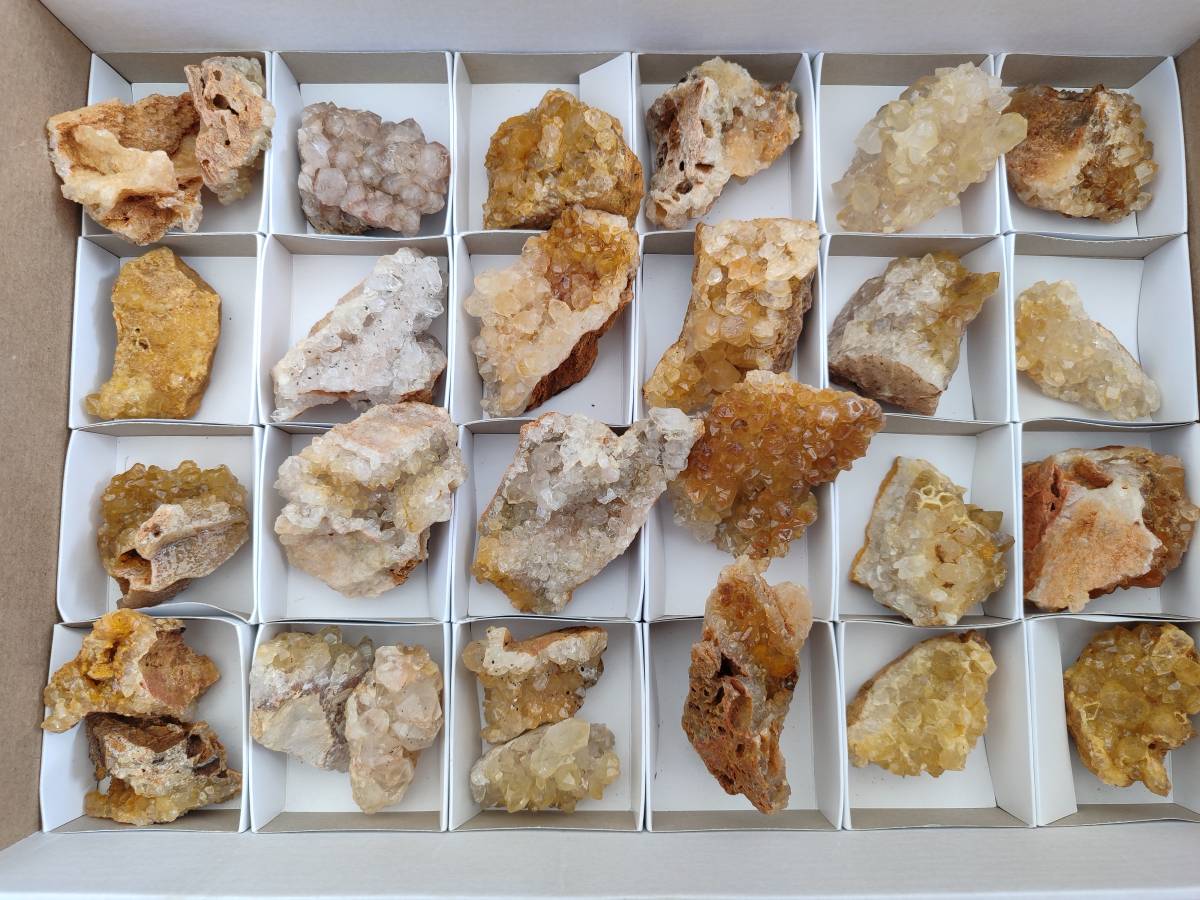 Natural Golden Limonite Quartz Clusters x 28 From Solwezi, Zambia - Toprock Gemstones and Minerals 