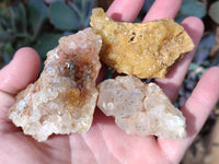 Natural Golden Limonite Quartz Clusters x 28 From Solwezi, Zambia - Toprock Gemstones and Minerals 
