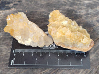 Natural Golden Limonite Quartz Clusters x 28 From Solwezi, Zambia - Toprock Gemstones and Minerals 