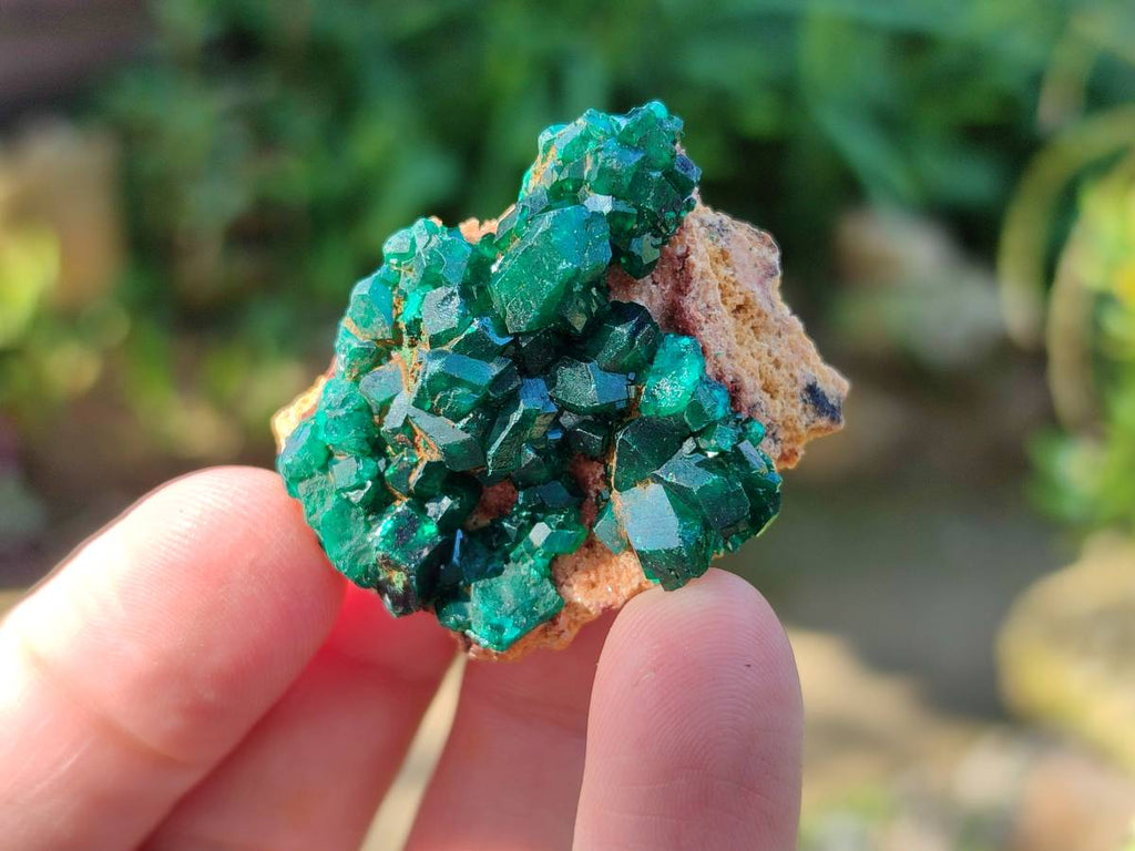 Natural Small Dioptase Crystals  with Malachite on Dolomite Matrix Specimens x 12 From Likasi, Congo - Toprock Gemstones and Minerals 