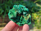 Natural Small Dioptase Crystals  with Malachite on Dolomite Matrix Specimens x 12 From Likasi, Congo - Toprock Gemstones and Minerals 