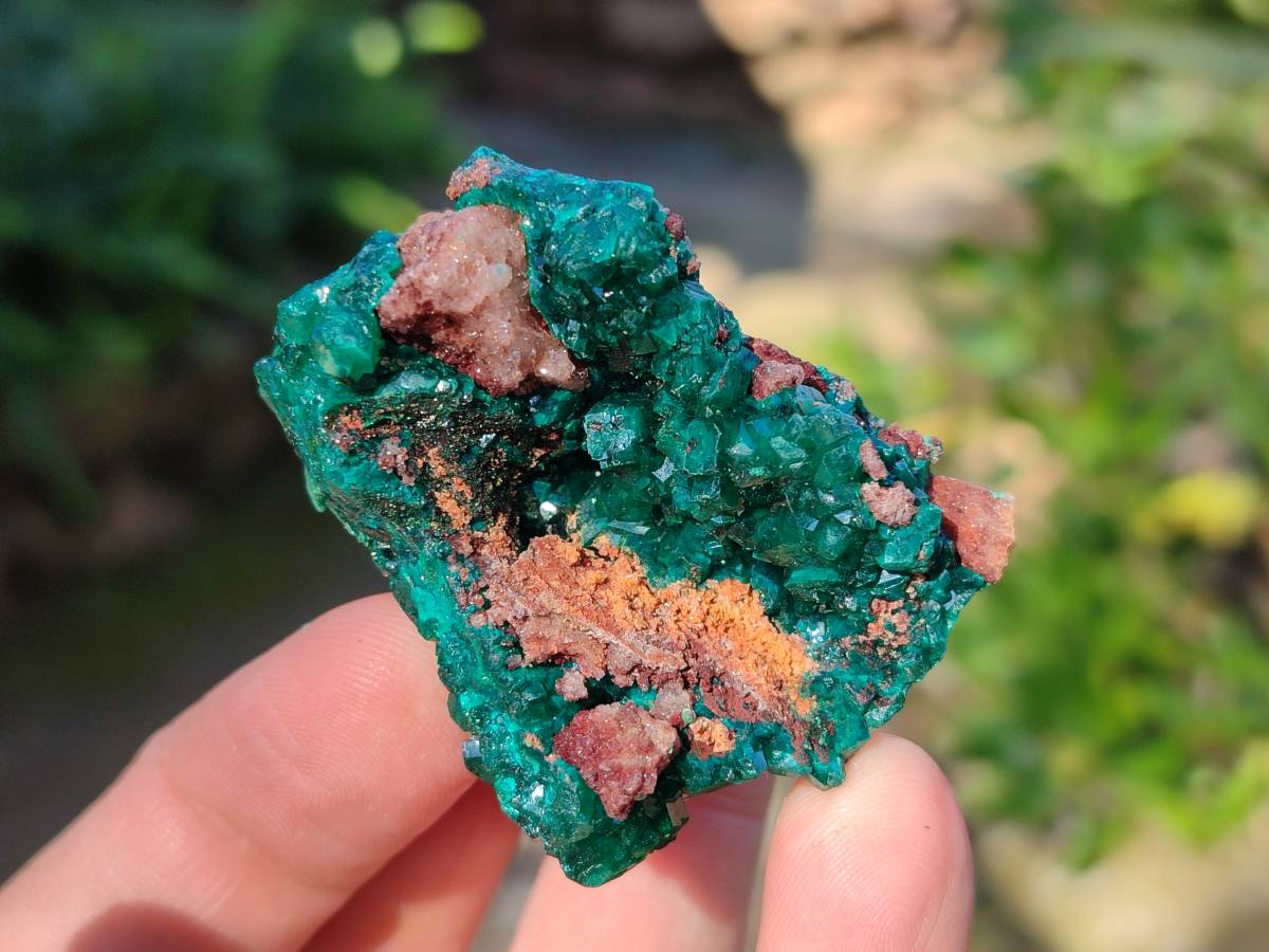 Natural Small Dioptase Crystals  with Malachite on Dolomite Matrix Specimens x 12 From Likasi, Congo - Toprock Gemstones and Minerals 