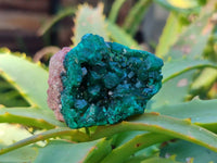 Natural Small Dioptase Crystals  with Malachite on Dolomite Matrix Specimens x 12 From Likasi, Congo - Toprock Gemstones and Minerals 