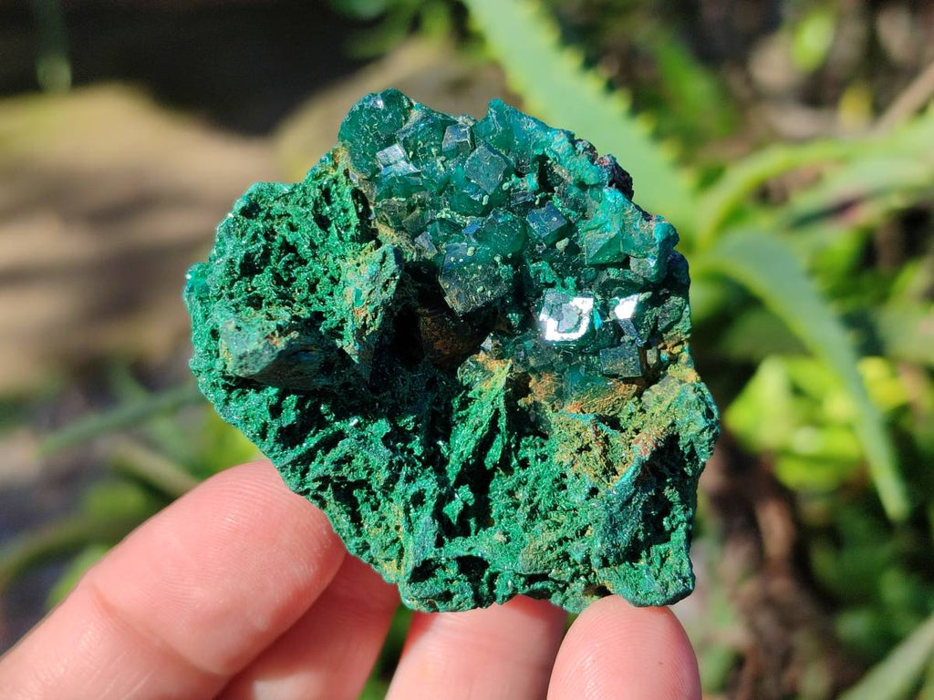 Natural Small Dioptase Crystals  with Malachite on Dolomite Matrix Specimens x 12 From Likasi, Congo - Toprock Gemstones and Minerals 
