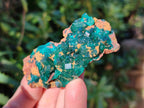 Natural Small Dioptase Crystals  with Malachite on Dolomite Matrix Specimens x 12 From Likasi, Congo - Toprock Gemstones and Minerals 