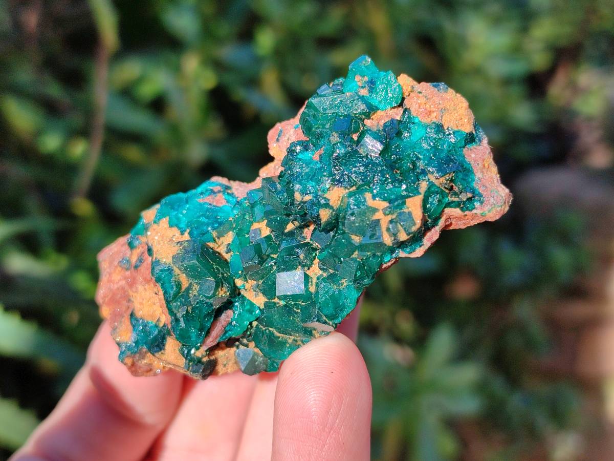 Natural Small Dioptase Crystals  with Malachite on Dolomite Matrix Specimens x 12 From Likasi, Congo - Toprock Gemstones and Minerals 