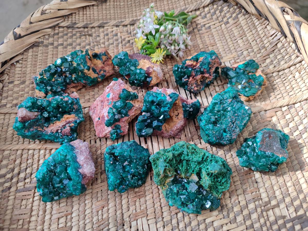 Natural Small Dioptase Crystals  with Malachite on Dolomite Matrix Specimens x 12 From Likasi, Congo - Toprock Gemstones and Minerals 