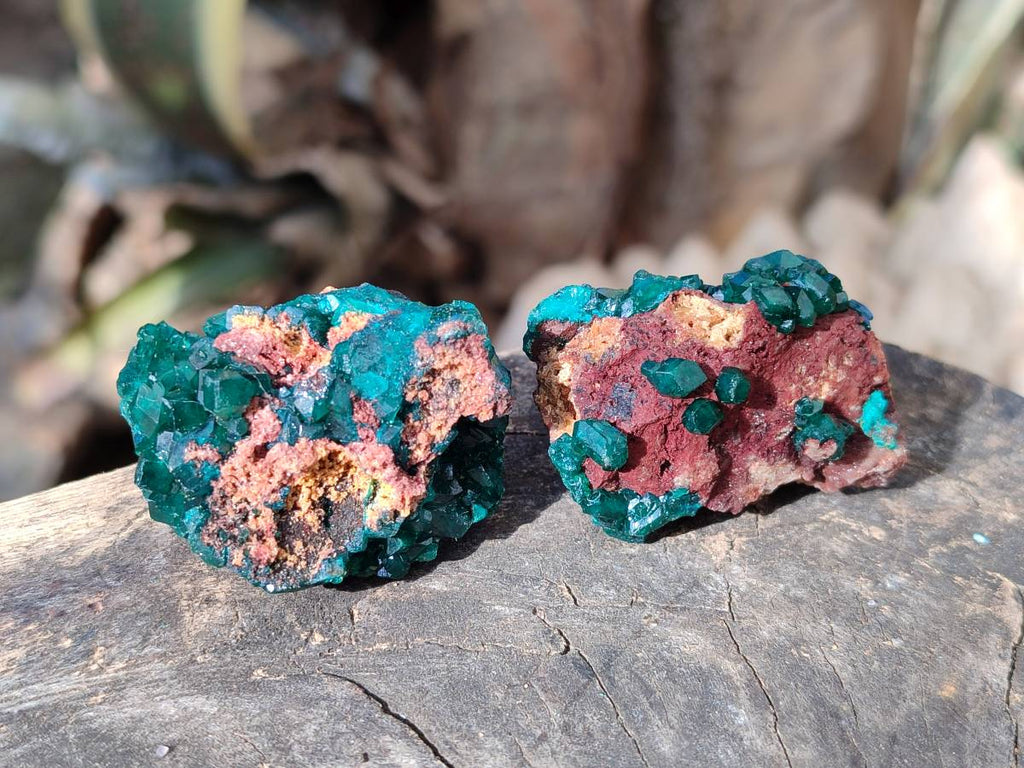 Natural Small Dioptase Crystals  with Malachite on Dolomite Matrix Specimens x 12 From Likasi, Congo - Toprock Gemstones and Minerals 