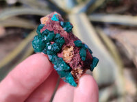 Natural Small Dioptase Crystals  with Malachite on Dolomite Matrix Specimens x 12 From Likasi, Congo - Toprock Gemstones and Minerals 