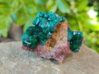 Natural Small Dioptase Crystals  with Malachite on Dolomite Matrix Specimens x 12 From Likasi, Congo - Toprock Gemstones and Minerals 