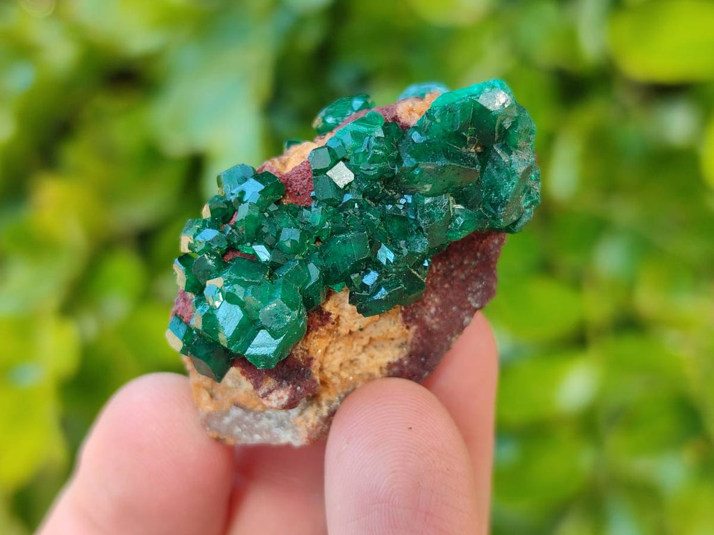 Natural Small Dioptase Crystals  with Malachite on Dolomite Matrix Specimens x 12 From Likasi, Congo - Toprock Gemstones and Minerals 